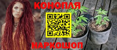 синтетический гашиш Будённовск